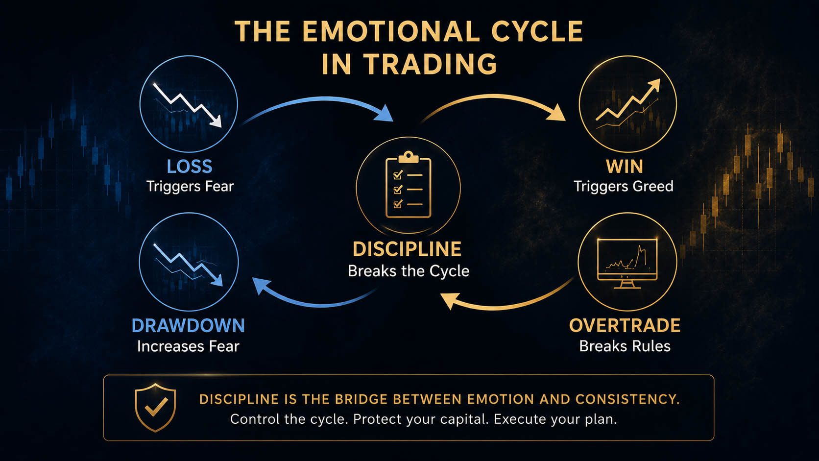 The emotional cycle in trading